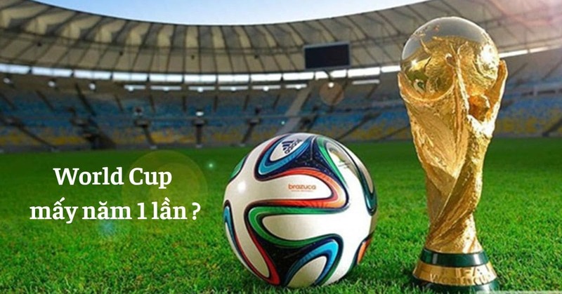 World Cup bao lâu tổ chức 1 lần? Giải đáp chi tiết và đầy đủ